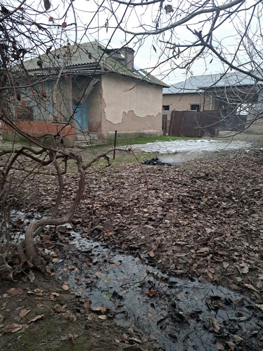 Пискэнт туманида ер сотилади