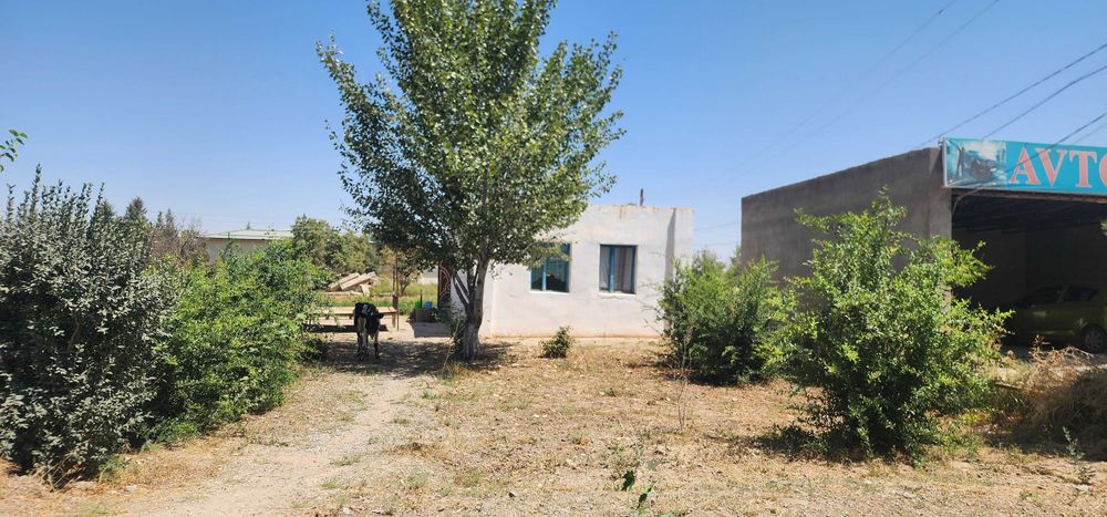 Uy sotiladi kotej uy