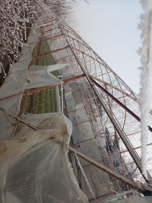 1.8sutiklik teplitsa