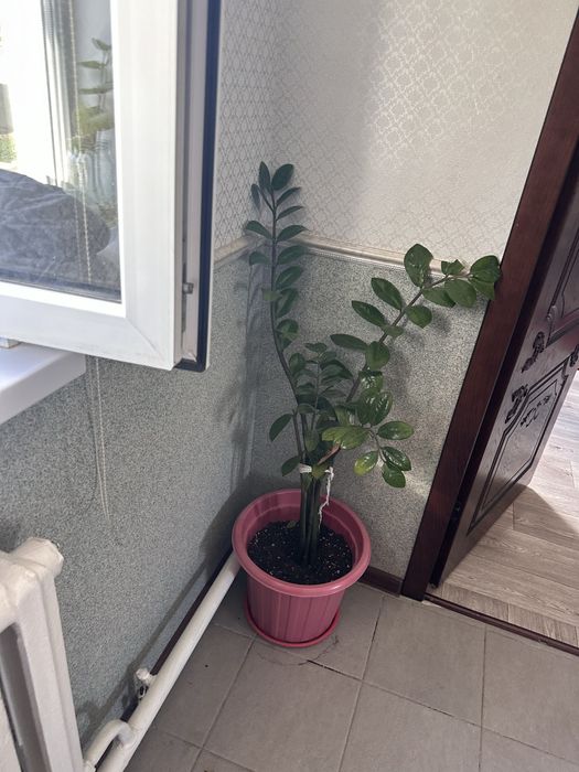 Есик ванна раквина