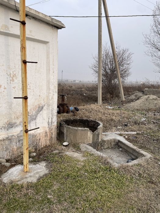 50 sotixli olma bogʻ