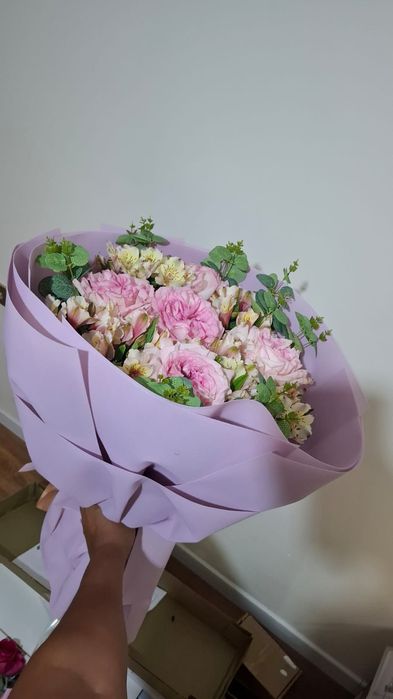 Продам цветы цены разные