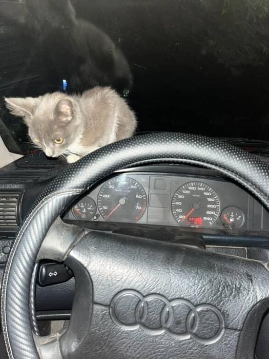 Ауди 100 с4 2.0 моно