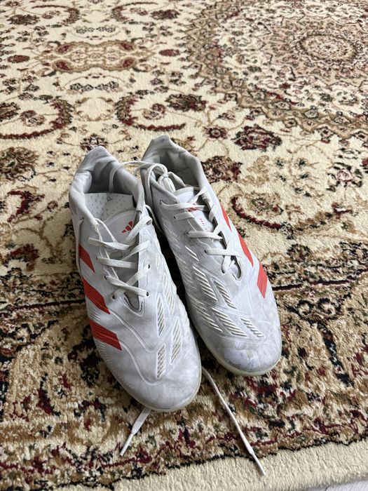 Обменяю сороконожки