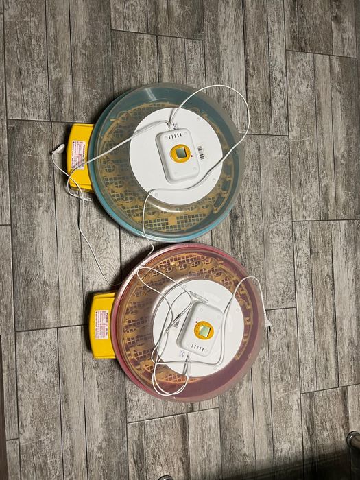 Incubator puisor X2 104