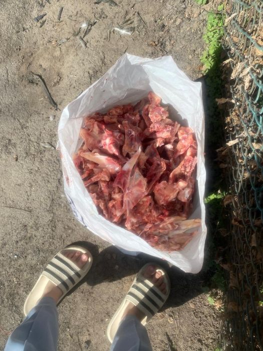 Супнабор для собак