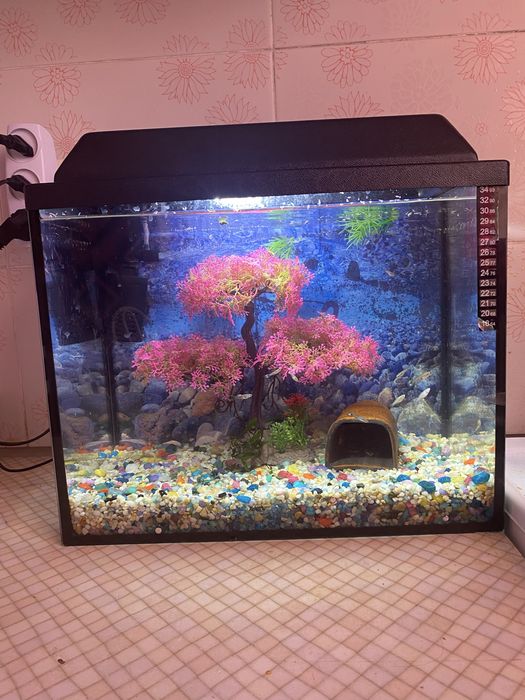 Аквариум  25 литров
