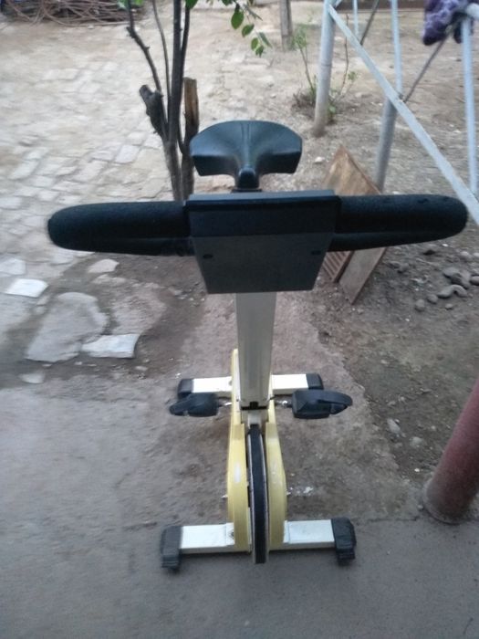 Prodayu damashi trenejior.