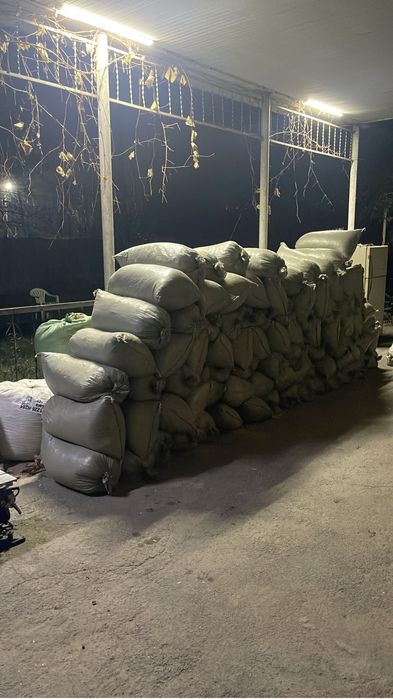 Опилка крупная  свежая