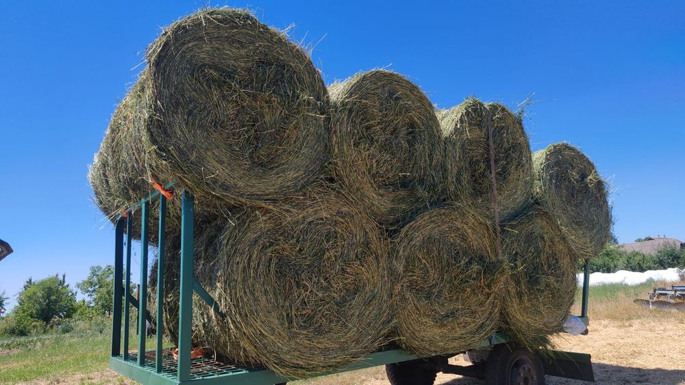 Vand baloti de lucerna 160x120