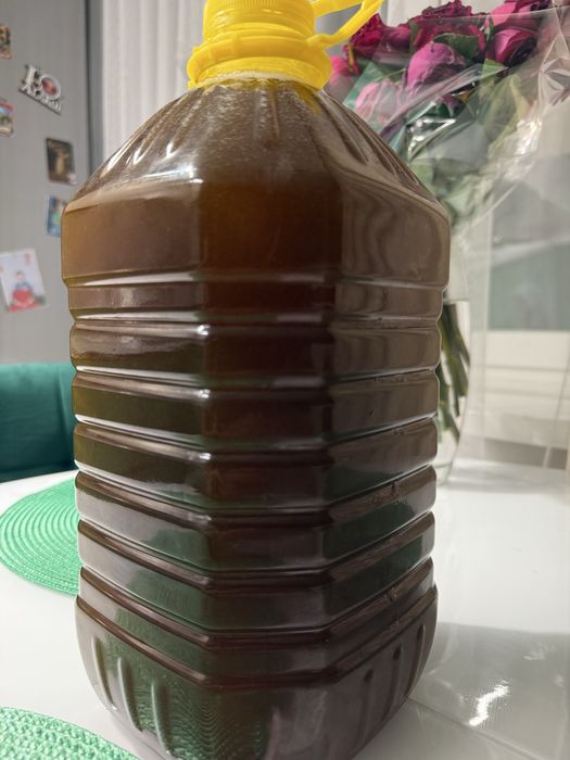 Продам свежий майский мёд с дягилем