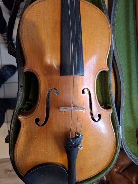 Цигулка, Цигулка