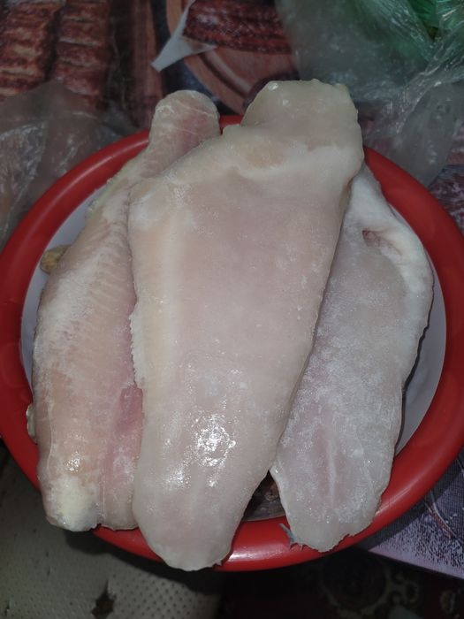 Фарш для дискусов и других рыб