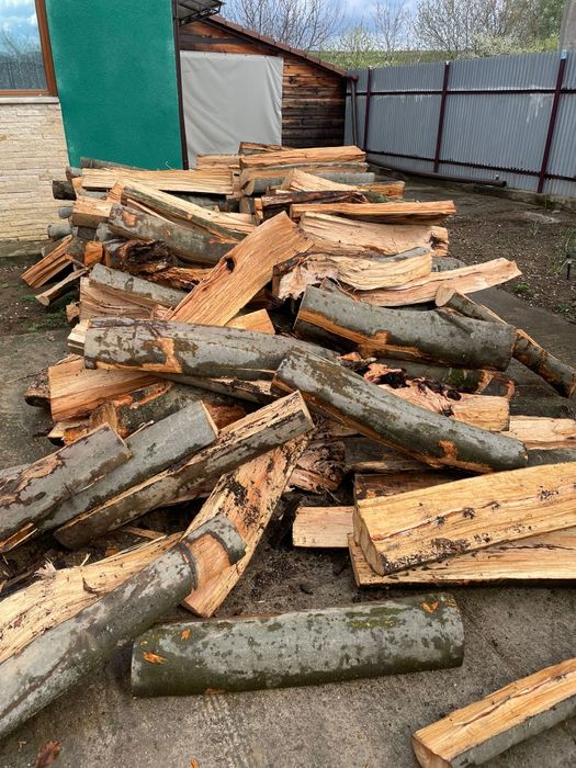 ‼️Lemne de foc esențe tarii[Fag,gorun,carpen,cer] la cele mai bun preț