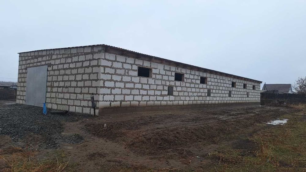 Продам базу для животноводства + участок+ дом