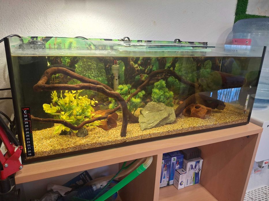 Три аквариума комплект с рибки