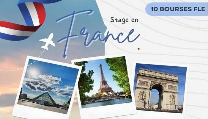 ALLEZ o'quv markazi Fransuz tili TCF oʻqituvchisi