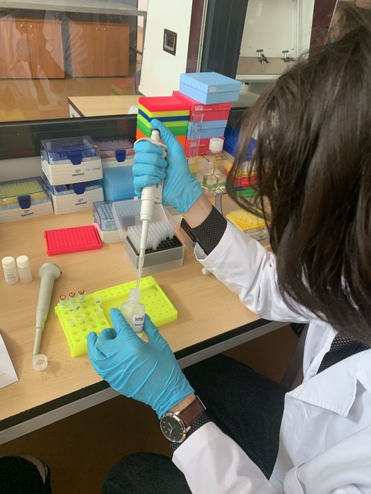 Biologie pentru Admiterea la Medicină şi Bacalaureat