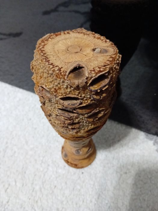 Vaza veche banksia