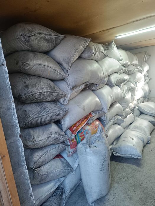 Жоңышқа тұқымы,7жылдық магнитталған