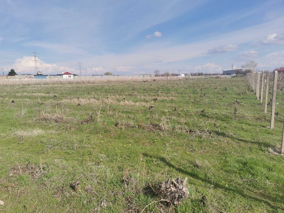 Дава се под наем Парцел в Пловдив, Беломорски - 1000 кв.м за 51 € - Снимка #3