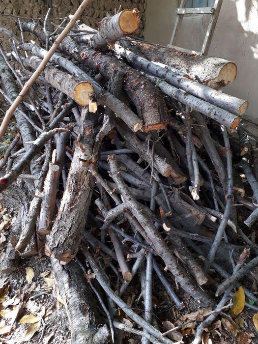 Продаю дрова ( Отин сотаман)