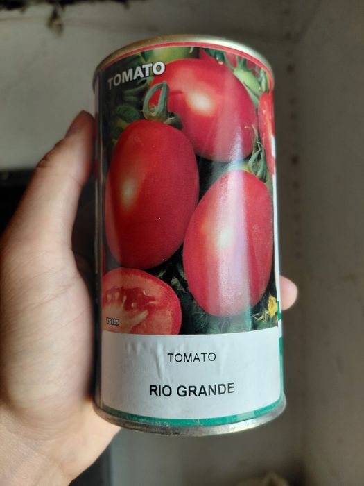 Продается рассада томатов Рио Гранде