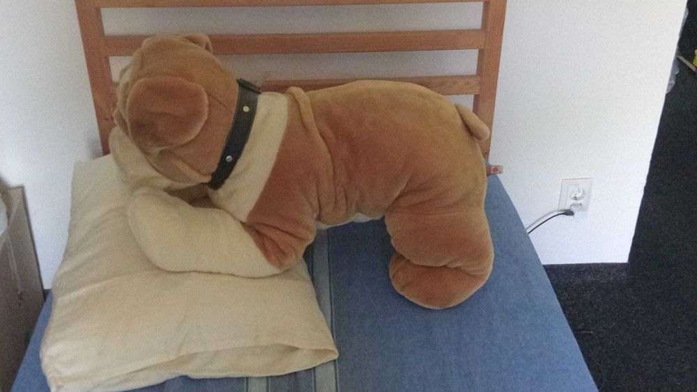 Jucarie catel buldog plus XXL (plush)