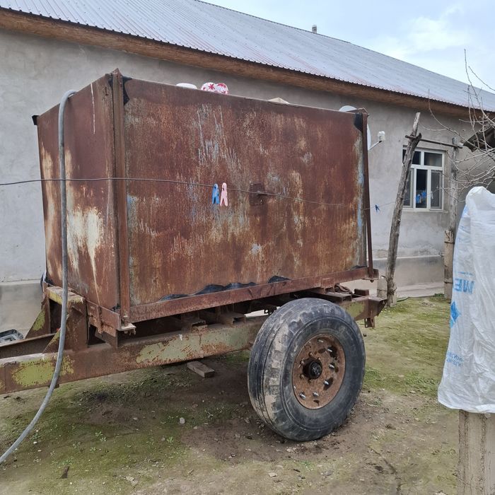 Тесік жоқ бүтін цестрна