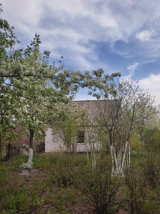 Продаю дачу в Михайловке, 12 соток