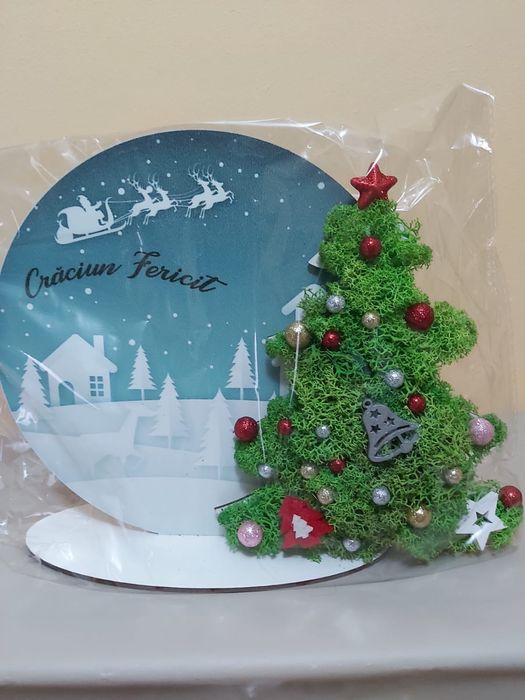 Aranjamente din licheni pentru Sarbatori