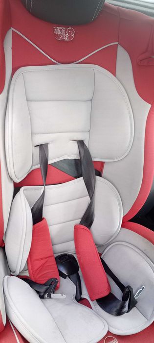 Scaun auto Primii Pasi