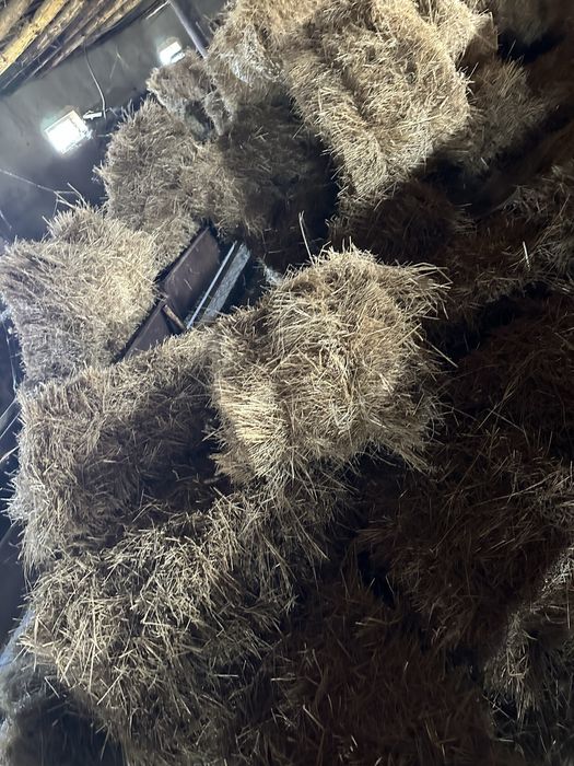 Шөп  жоңышқа арласқан прес