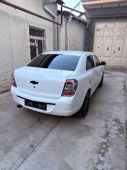 Cobalt midnight 2025