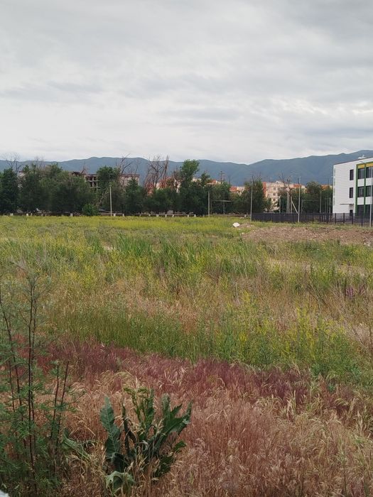 Два дома в одном участке