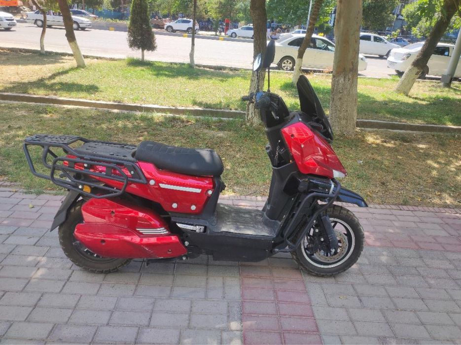 Skuter katta mator