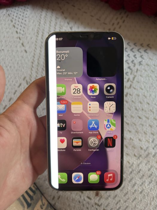 iPhone 12 pro max