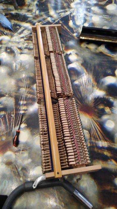 Acordare si Reparare Piane/Pianine