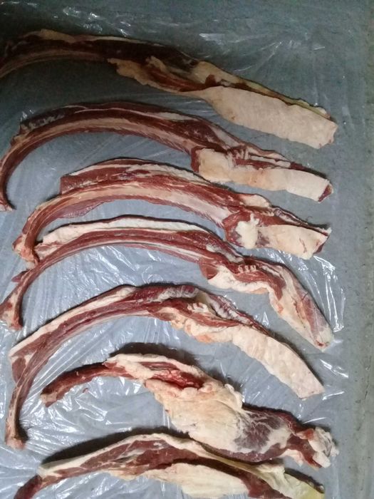 продам откормленый тай