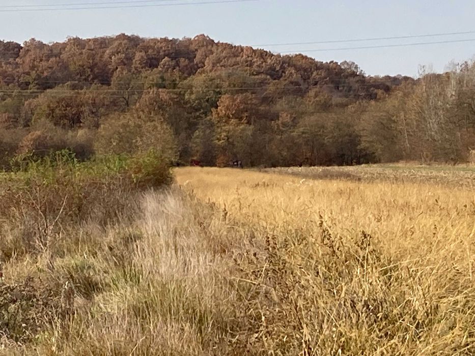 Teren Telesti, Costesti, Jud Arges, intravilan