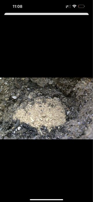 Костная мука удобрения