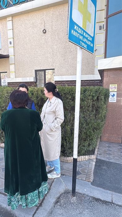 Продам туи для озеленения