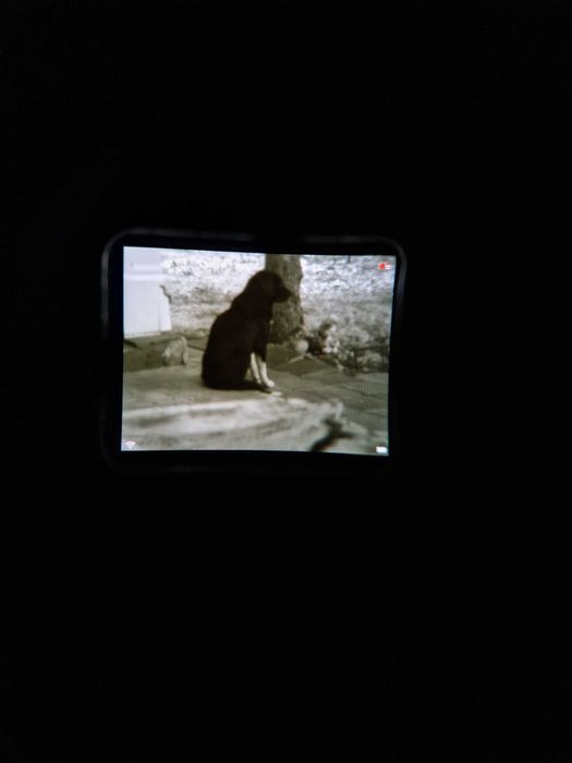 Насадка за нощно виждане Pard NV007S Full HD