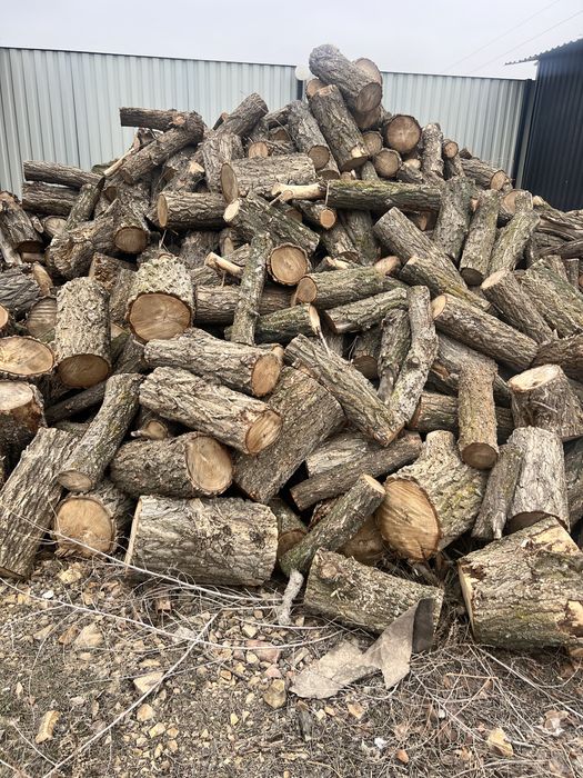 Дрова карагач. Колотые и цельные