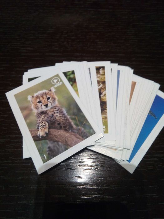 37 броя стикери Анимал Планет от Билла