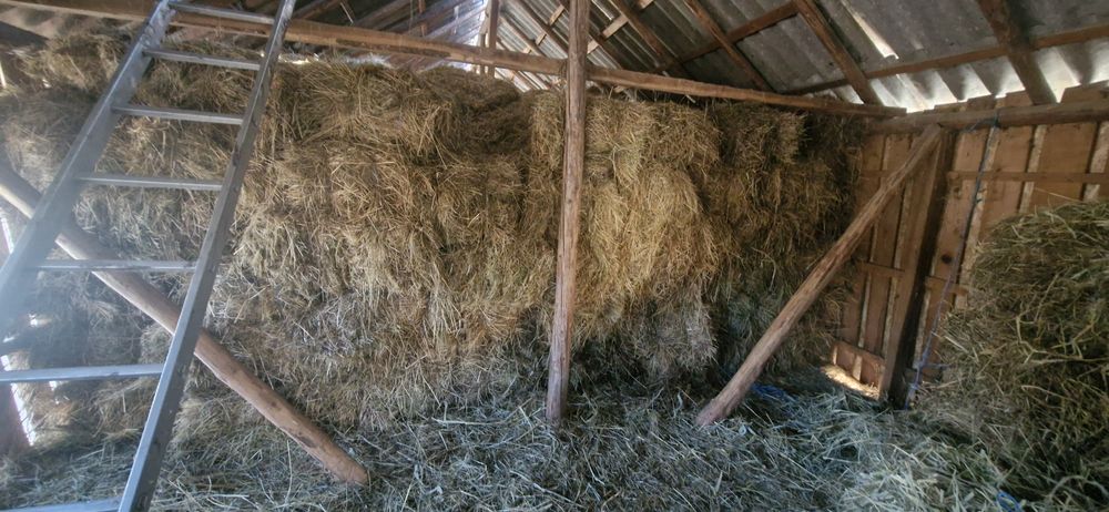 Vând baloți de fân  !