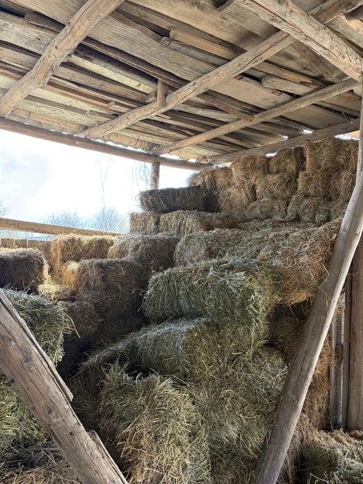 Vand baloti de lucerna