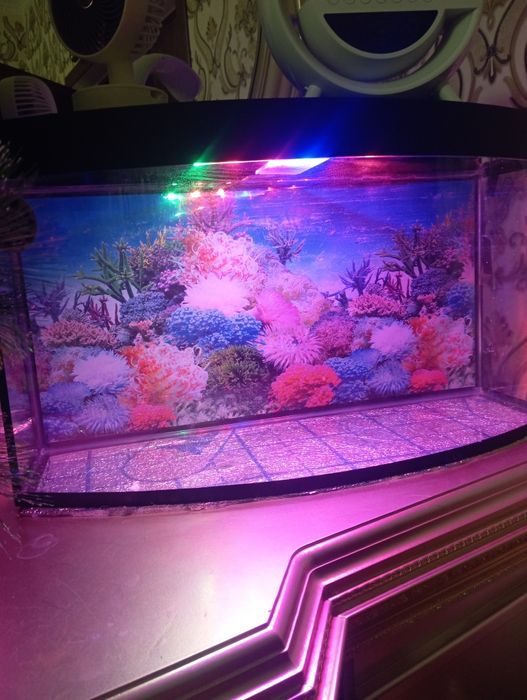 аквариум с подсветкой