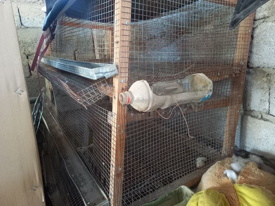 Продам клетка для перепелов