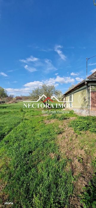 NECTORA IMOB-Casa 70 mp cu teren 951 mp, front 16 mp, Paleu Centru